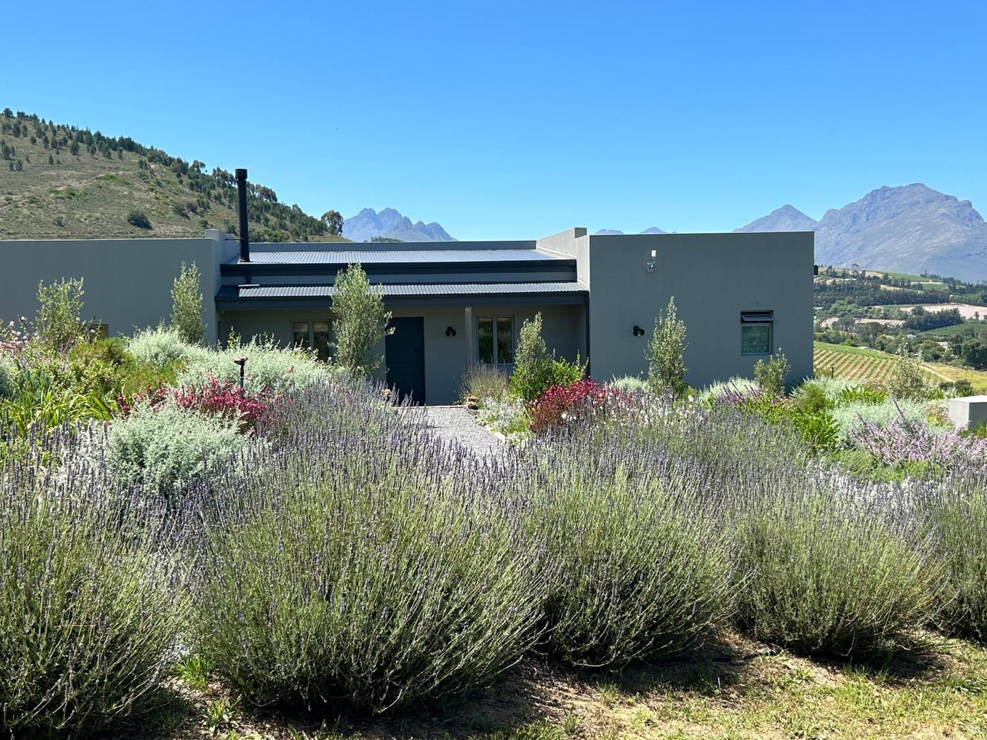 Windon Vineyard Farmhouse Stellenbosch Exterior photo